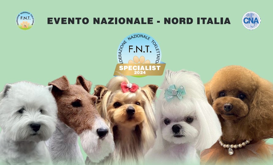 Evento CNA FNT Genova