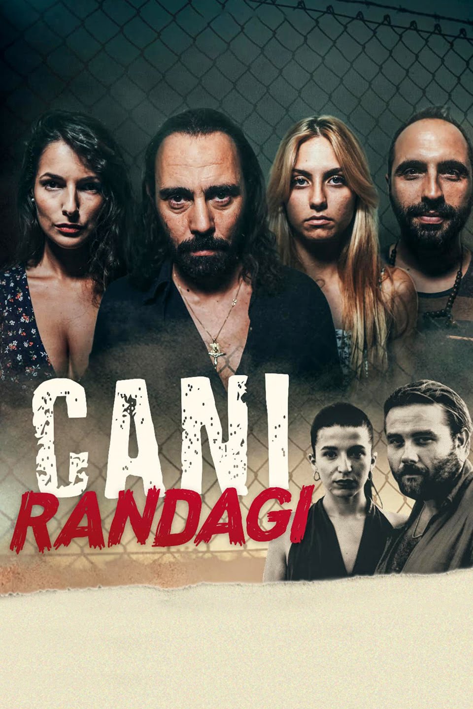 CANI RANDAGI